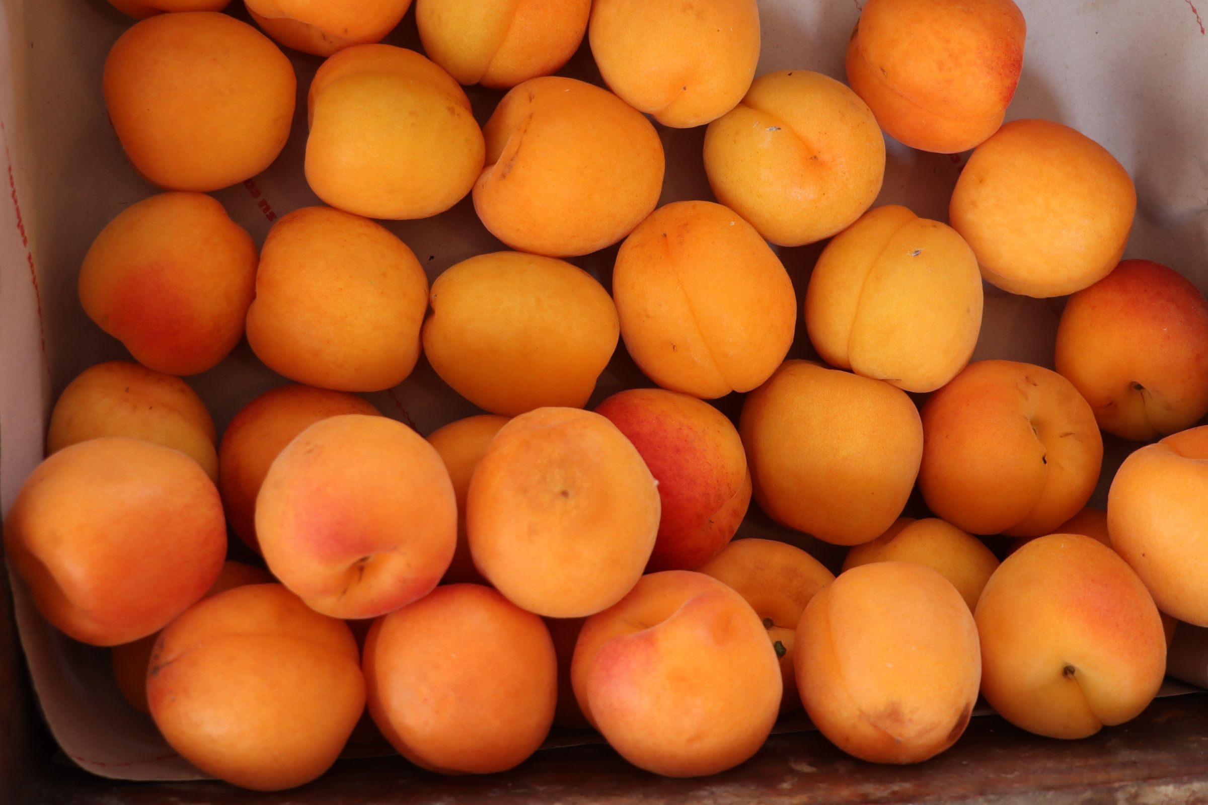 AGROBOTIGA LO TÍPIC FRUTAS Y VERDURAS