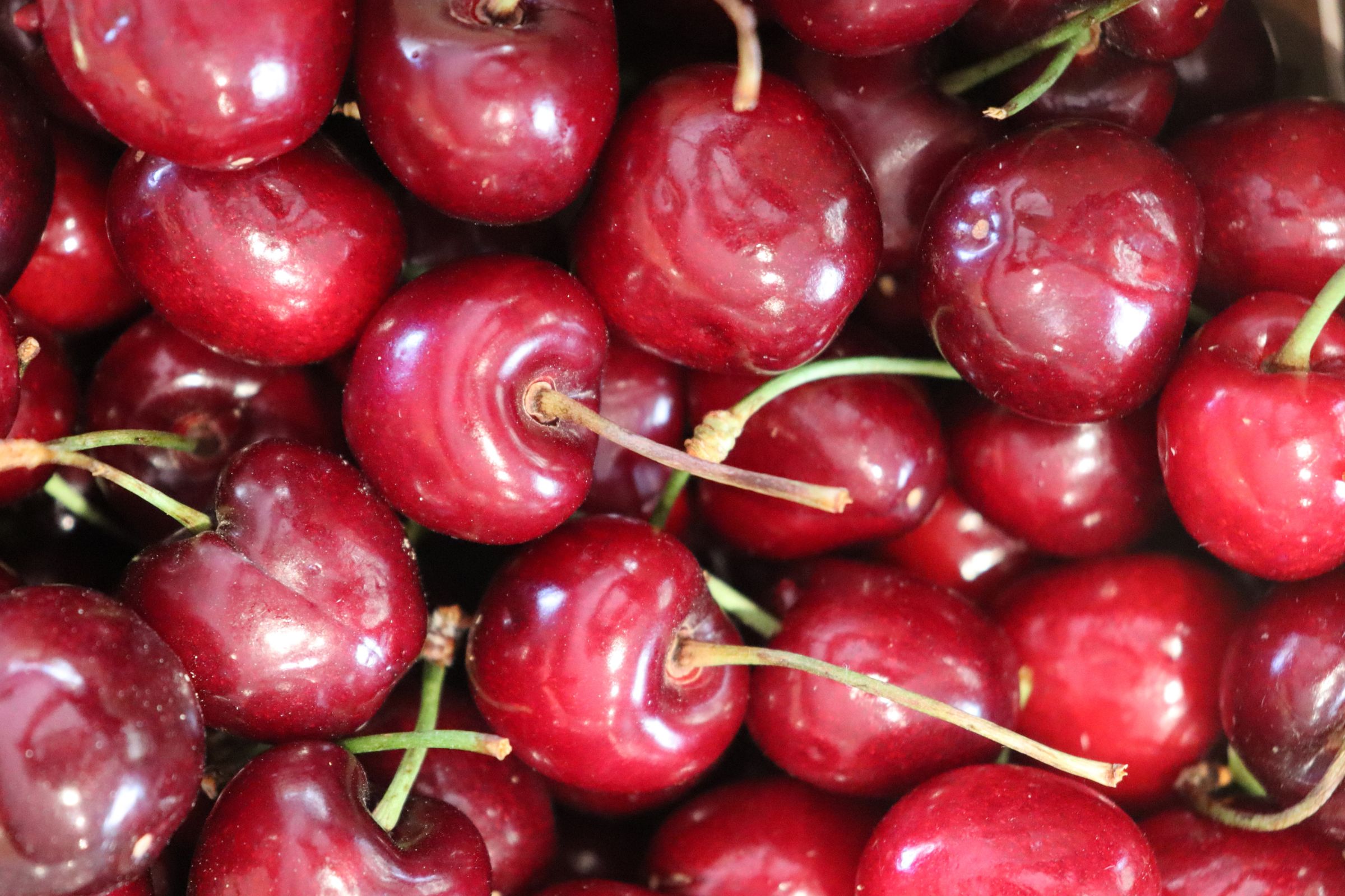 AGROBOTIGA LO TÍPIC FRUTAS Y VERDURAS