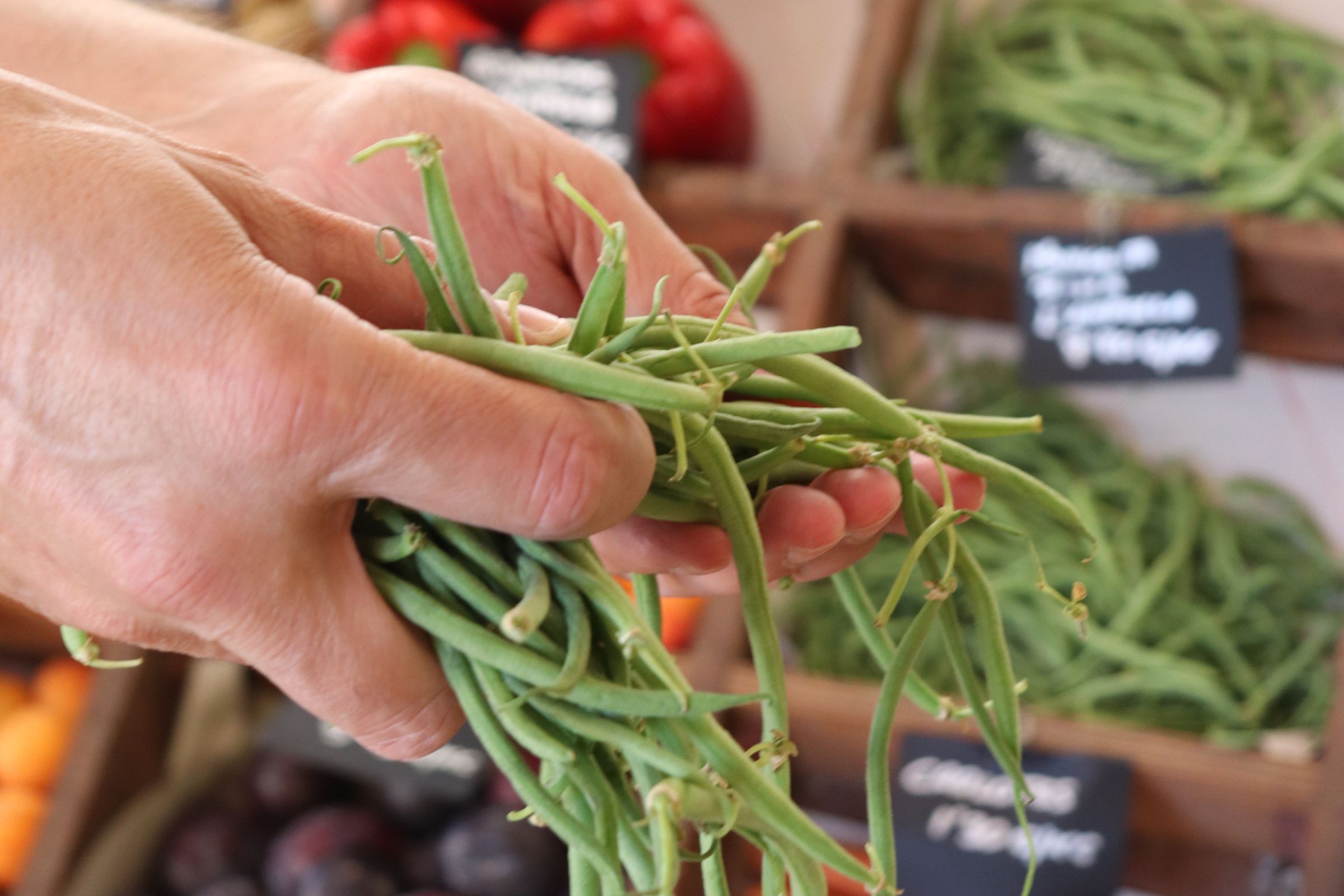 AGROBOTIGA LO TÍPIC FRUTAS Y VERDURAS (3)